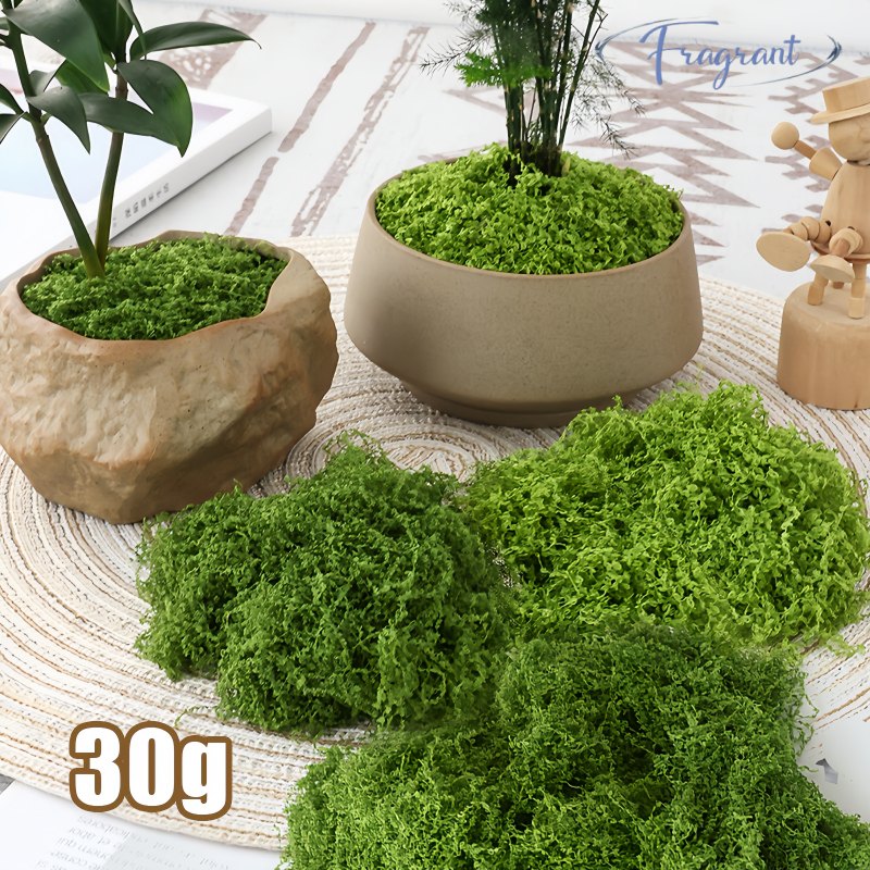 【BARANG SPOT】Artificial Moss Moss Sintetis Moss Artificial Sintetis Premium Murah Lumut Abadi Dekora