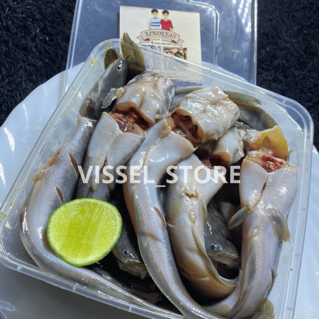

Ikan Lele Segar Tidak Berbumbu Sudah dibersihkan 1Kg/500gr