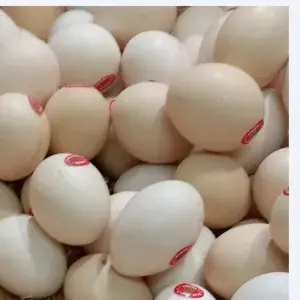 

Telor Ayam Kampung merah mentah 20 butir