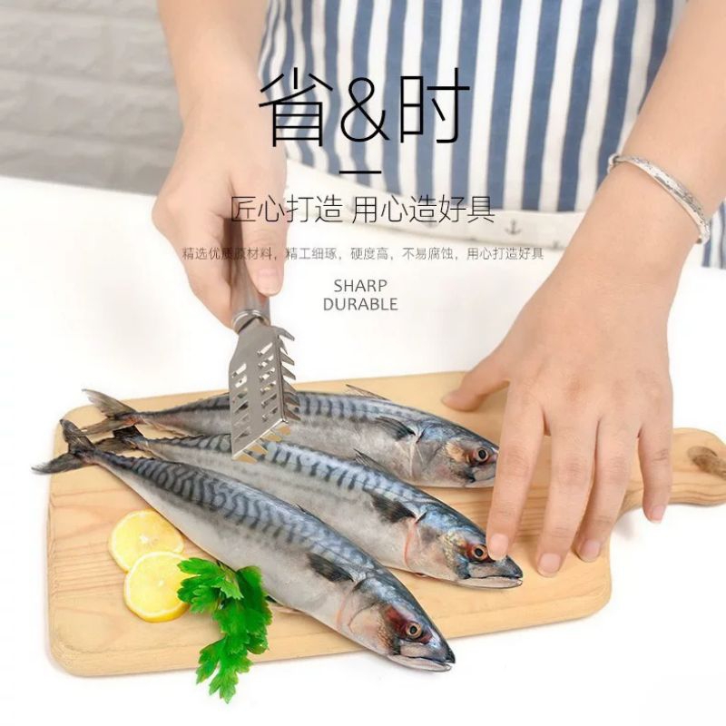 Alat Pengerok Sisik Ikan | Alat Kerok Sisik Ikan | Alat Pembersih Sisik Ikan