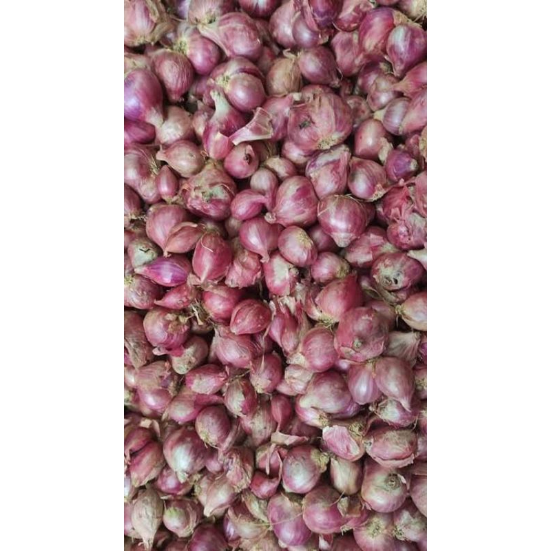 

bawang merah berebes berat 1kg