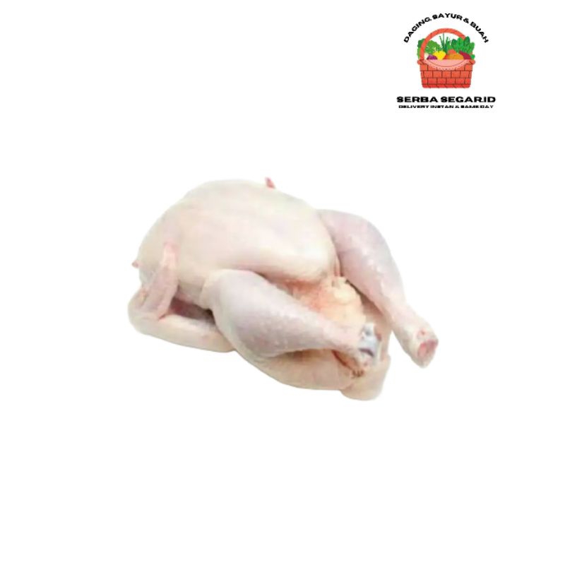 

Ayam Krakas Broiler Frozen 08 Gr - 1kg