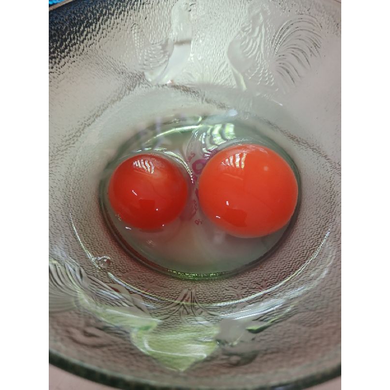 

TelurBebekOMEGA3freshMentah