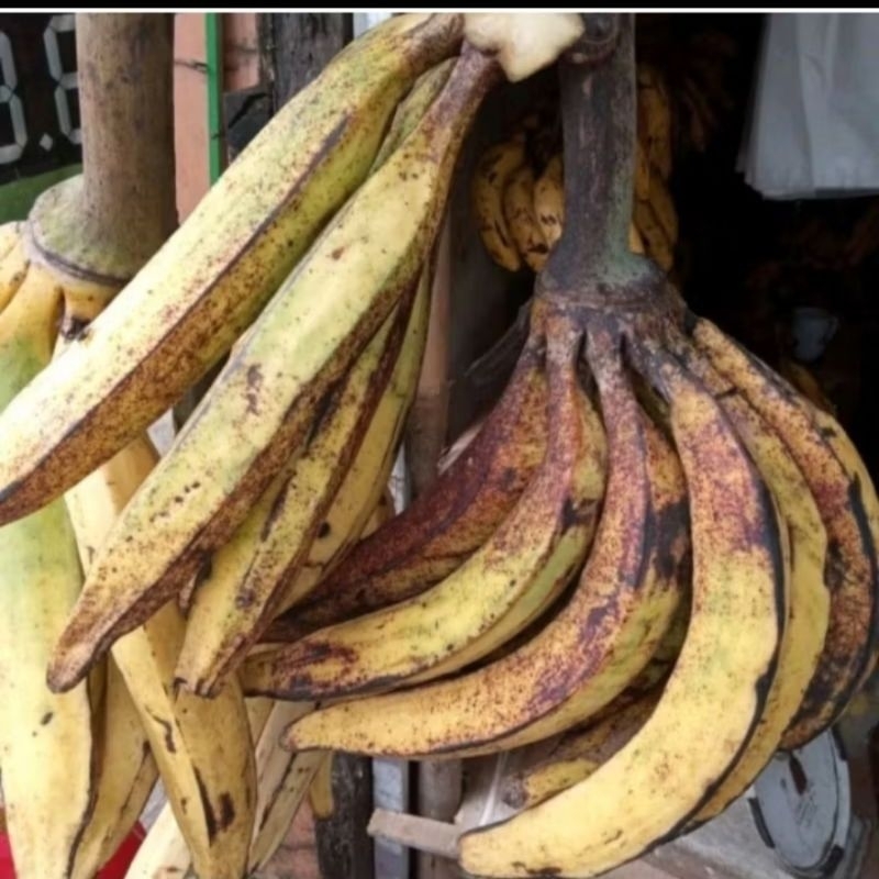 

Pisang Tanduk Matang/Mengkel