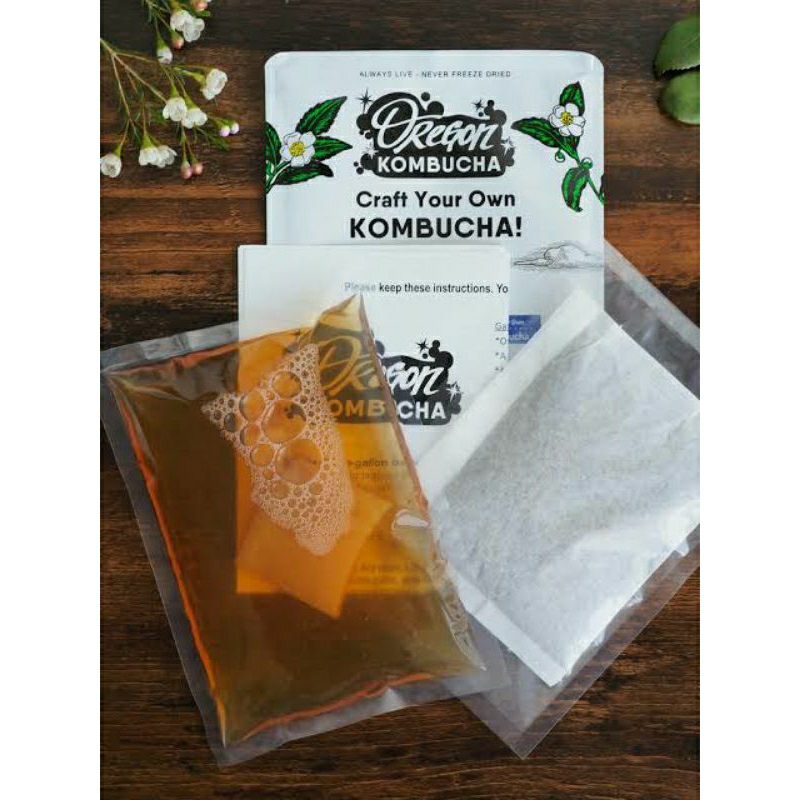 

stater kombucha scobby