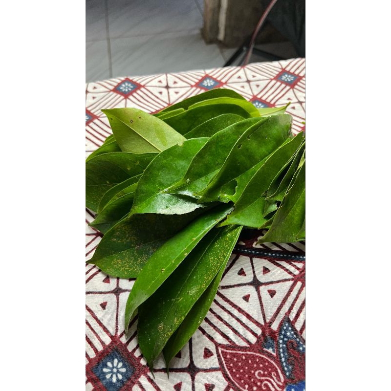 

New Promo COD Daun Sirsak 100 Lembar untuk kesehatan