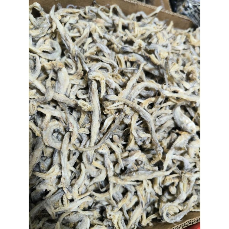 

ikanasinusamjambrongukuransedang100%berkualitasbaik