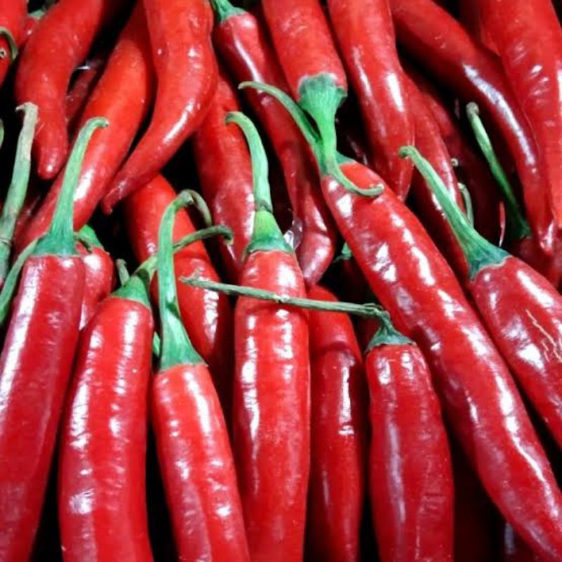 

cabai/cabe merah besar berat 500grm