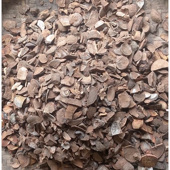 

Biji Alpukat iris Kering Alami / Rajang Biji AL FUKAT Kering Alami / Natural Dried Avocado Seeds