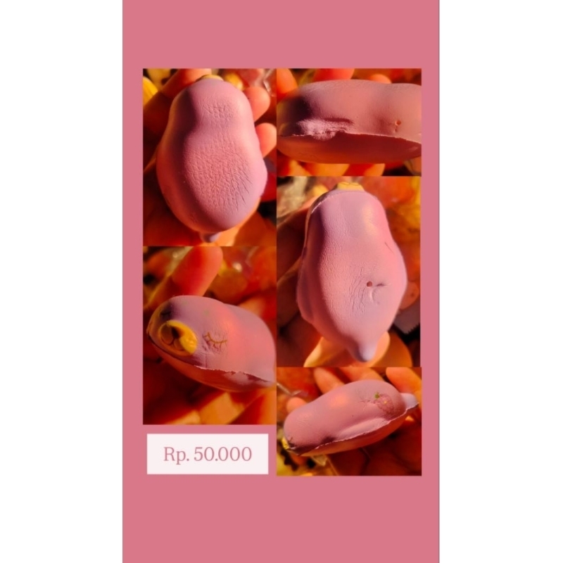 Squishy License Mini Mochi Seal Grape Seal by Punimaru