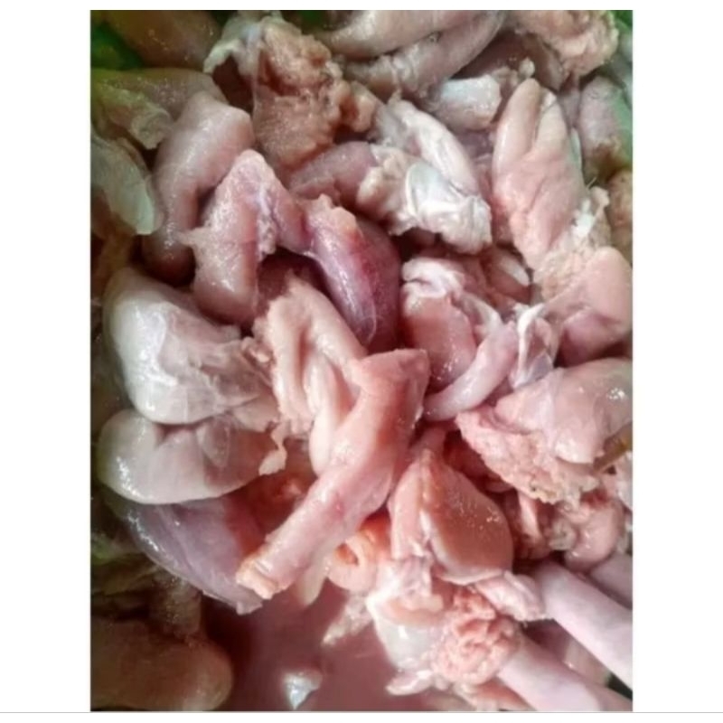 

Telor Ikan Kakap Fresh