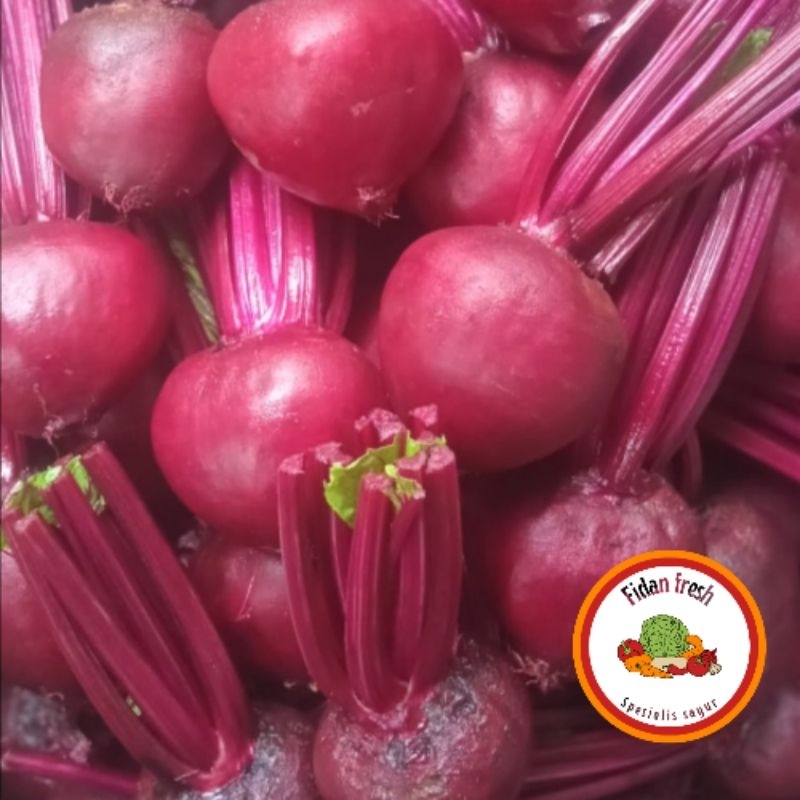 

Buah bit fresh 1kg kualitas premium