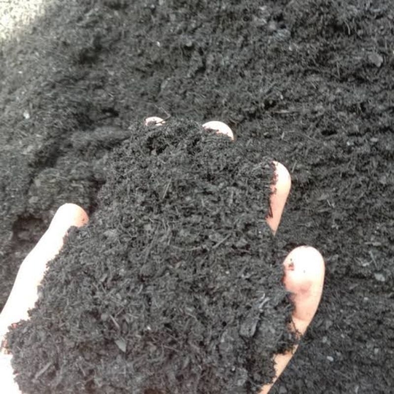 serbuk abu arang batok kelapa kering residu arang batok kelapa