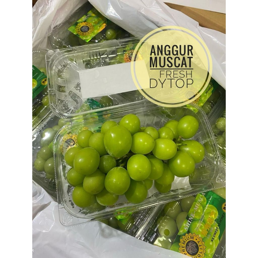 

Buah Anggur Shine Muscat Premium Fresh Segar - Pak