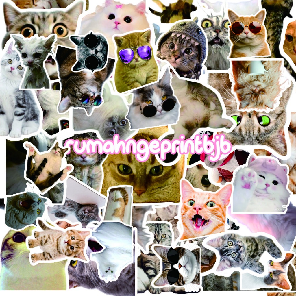 

KUCING LUCU CUTE CAT - BESAR STIKER STICKER PACK ANTI AIR | WATERPROOF