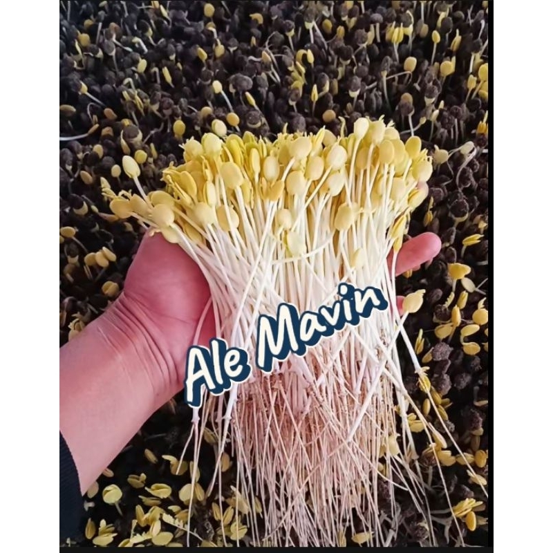 

ALE / SAYUR ALE / CAMBAH ALE / SAMBEL ALE