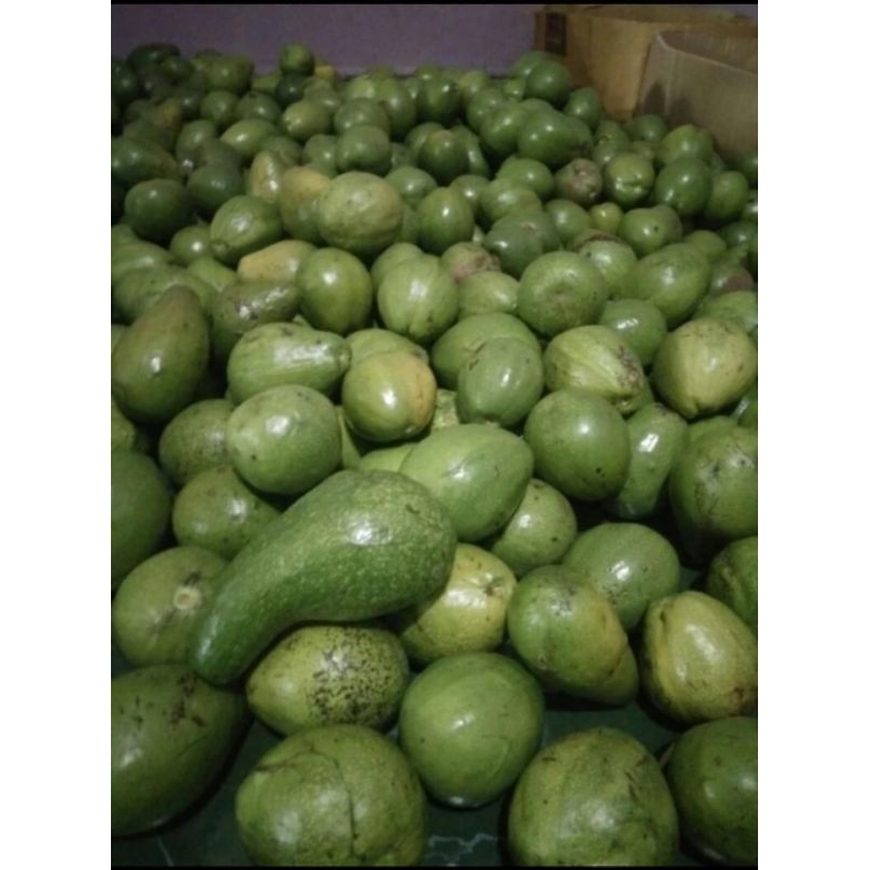 

Alpukat mentega 1kg isi 3 - 4 butir kuning dagingnya tebal