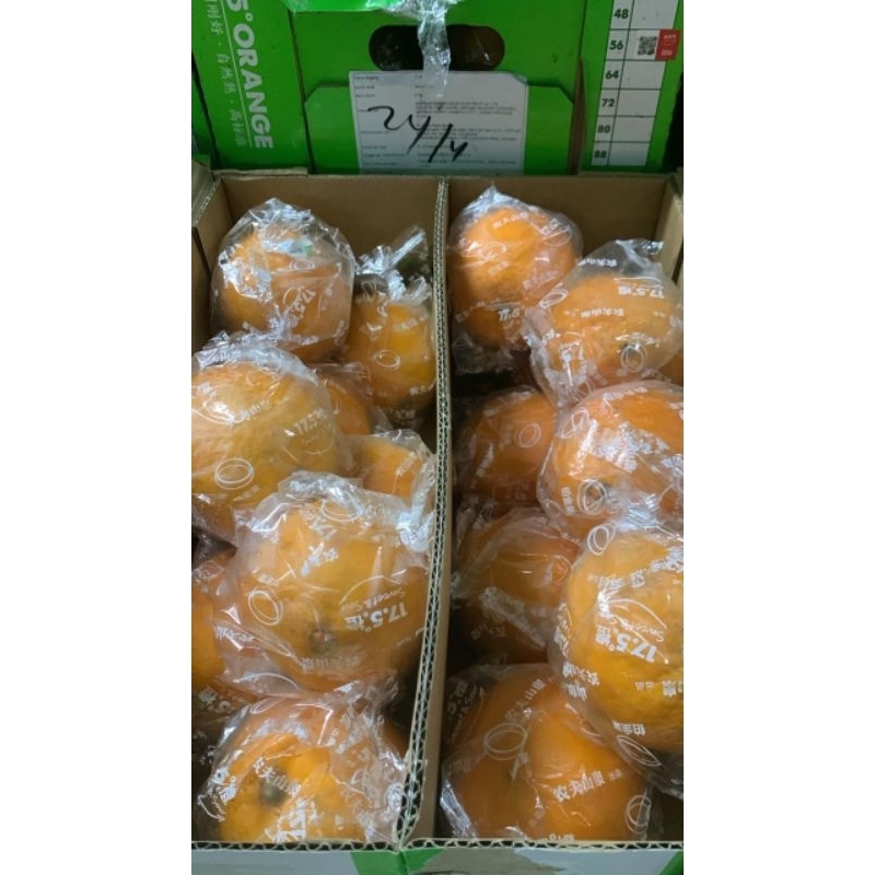 

Jeruk Sunkist Navel 1box 4kg
