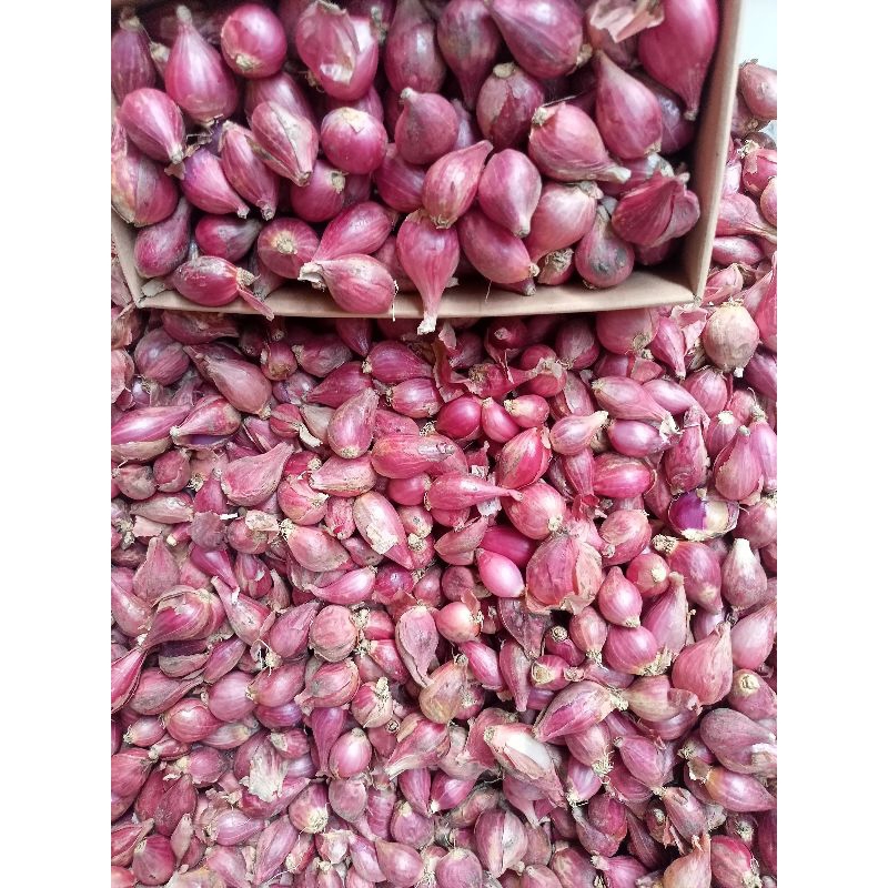 

BAWANG MERAH BREBES 500GR /SETENGAH KILO UKURAN SEDANG
