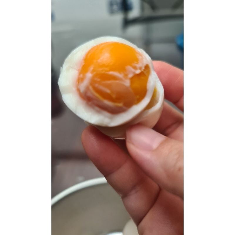 

Telur Ayam Kampung Omega 3 Asli. 1 pack = 10 butir.