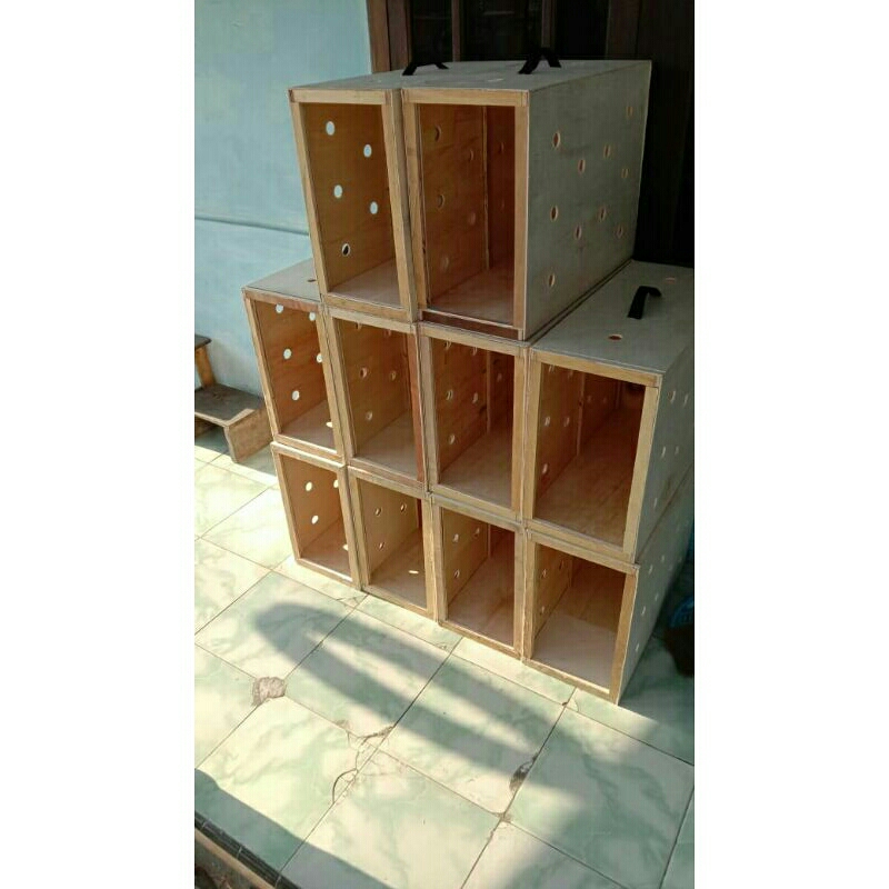 Kaso/box untuk pengiriman ayam bangkok single