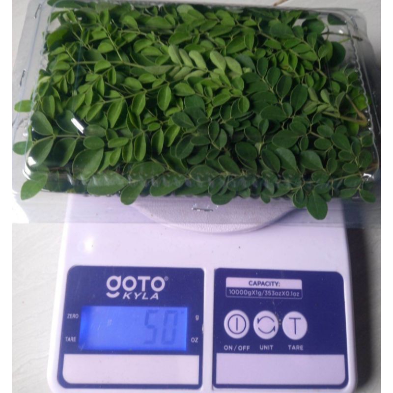 

Daun kelor asli