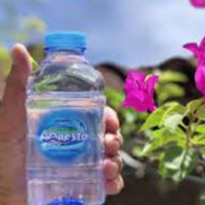 

AQUESTO Air MIneral Botol Imut mblenduk kotak 300 ml - 1 Dus isi 24