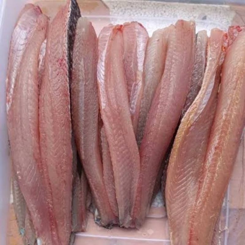 

Fillet Ikan Gabus (bagus untuk menyembuhkan luka / Jahitan operasi)