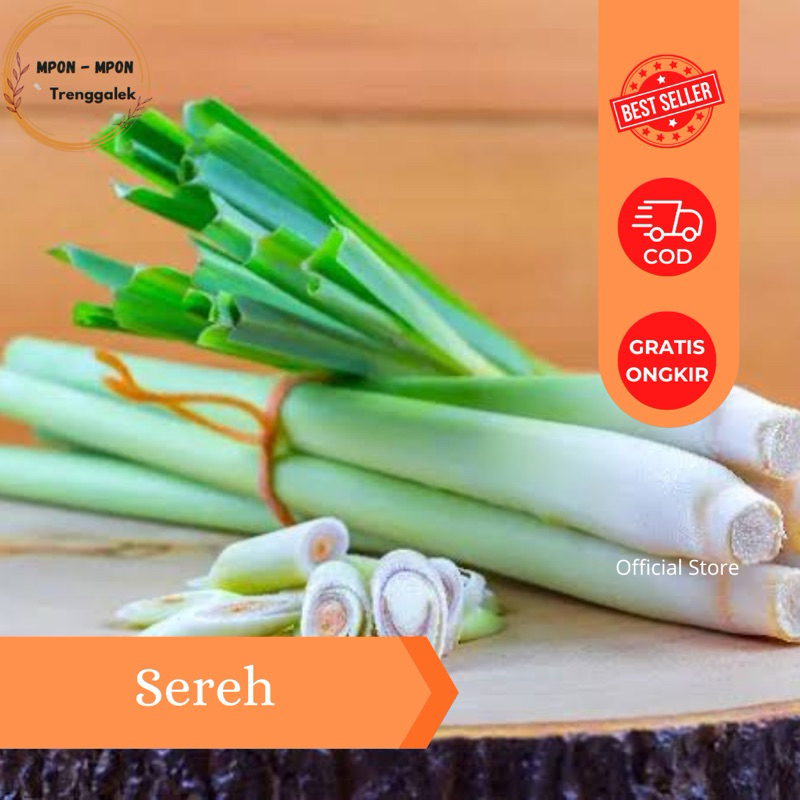 

Sereh Fresh Bumbu Masak 500gr 1000gr