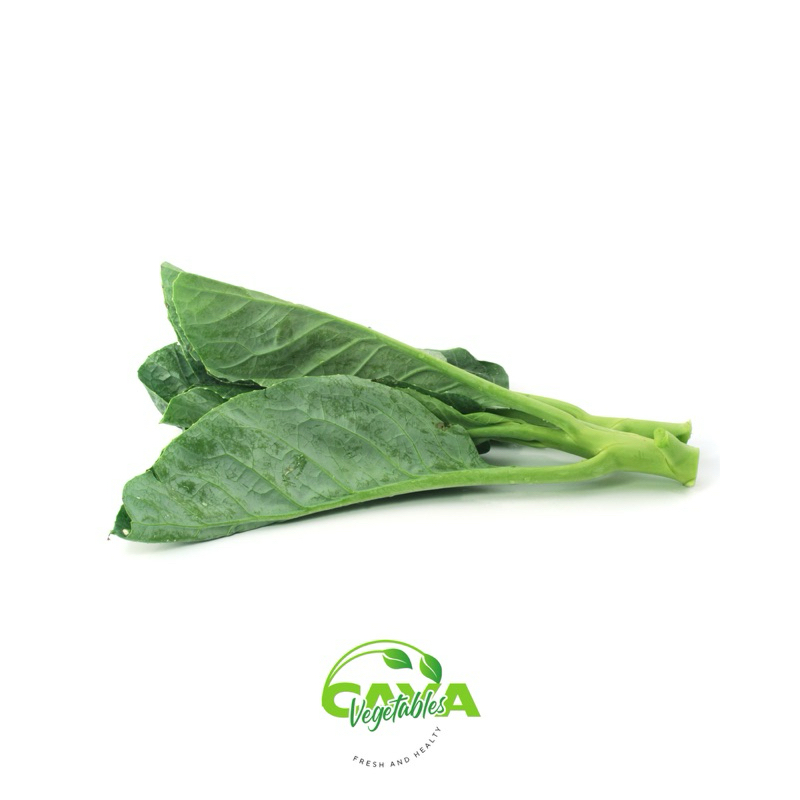 

KIRIM INSTAN Kailan Segar Premium 250g
