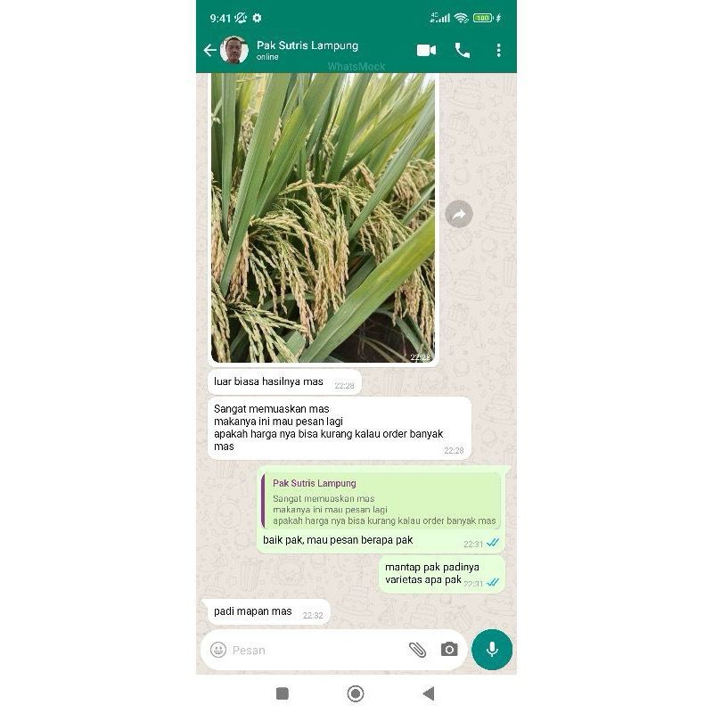 [ORINAL] Booster 76 Hormon Pembuahan & Pembungaan