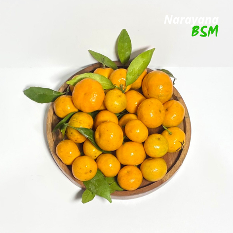 

Buah Jeruk Santang Segar 500 Gram