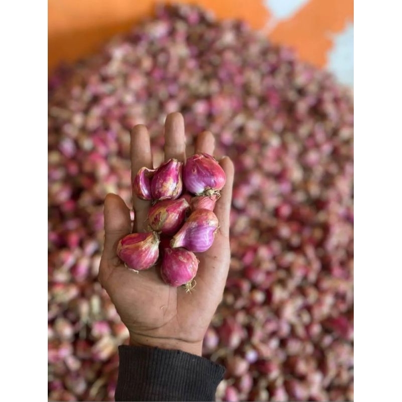 

Bawang Merah Campur 1kg Masih Fresh Langsung Dari Petani