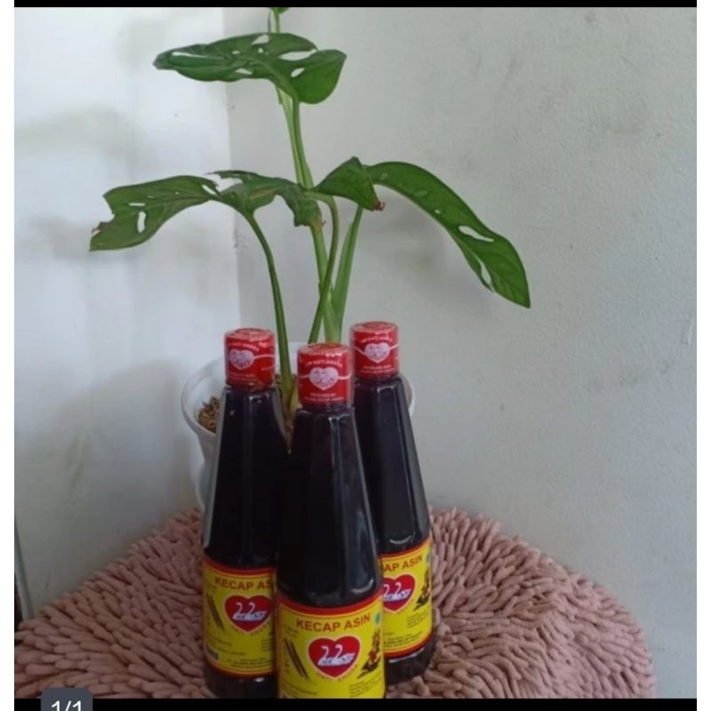 

Kecap Asin Hati Angsa ( 270 mil )