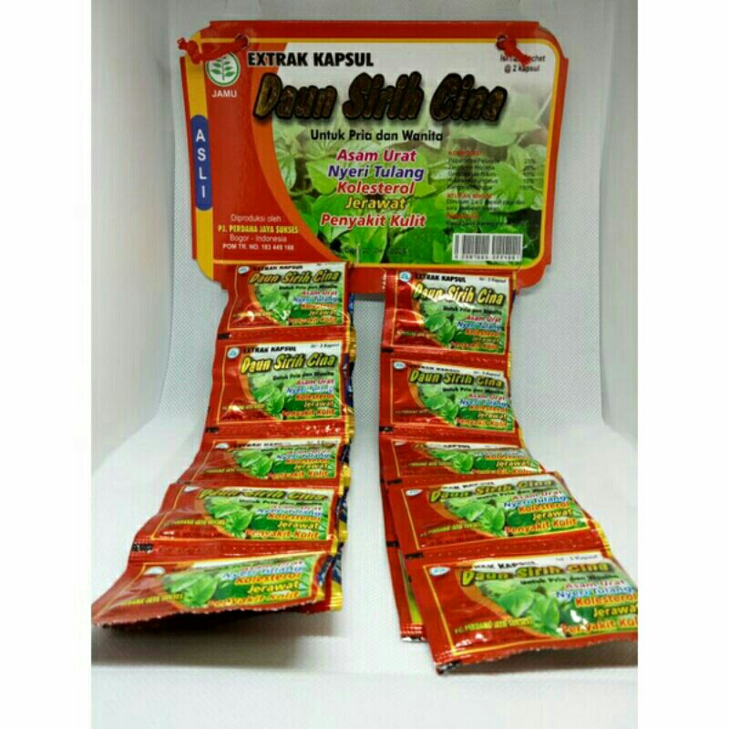 

DAUN SIRIH CINA obat herbal.