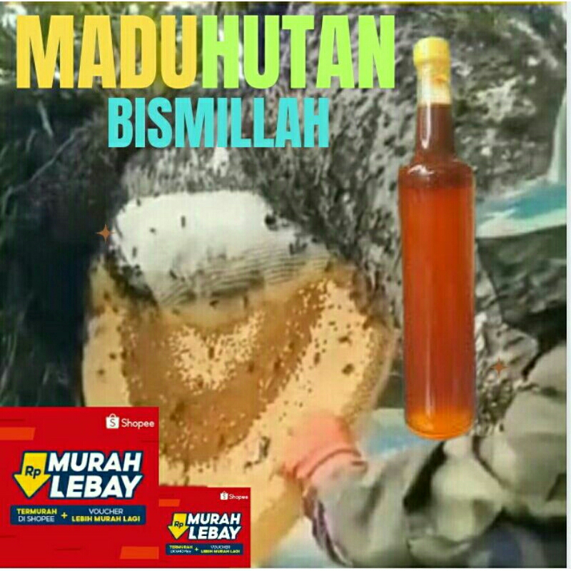 Madu Hutan Gunung