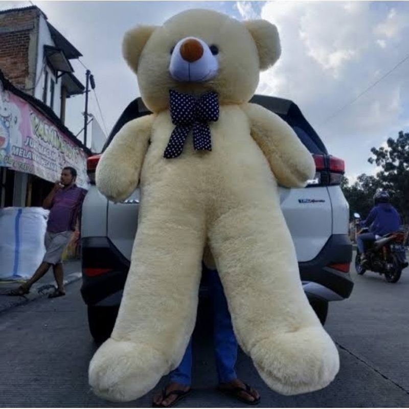 Boneka Tedy Bear Jumbo 2 Meter Super Besar doll