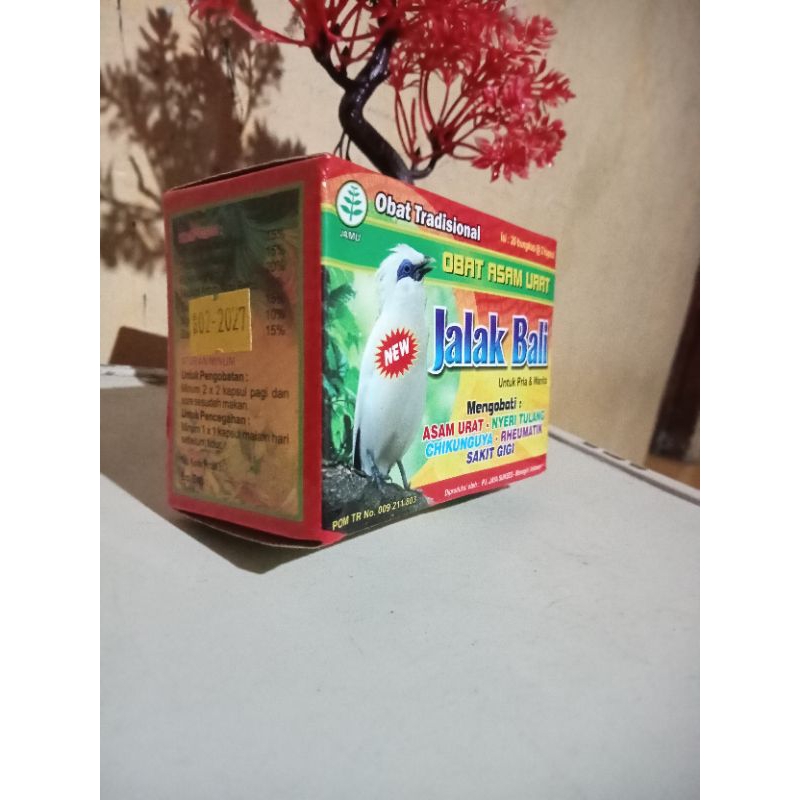 obat tradisional JALAK BALI box original