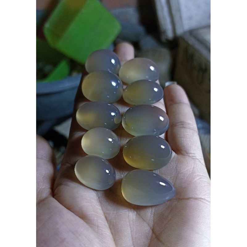 anggur/cimpago biru kristal  harga satuan