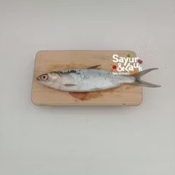 

Ikan Bandeng Segar 1kg