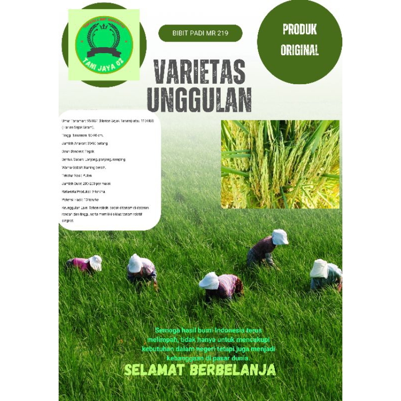 BENIH BIBIT PADI MR219