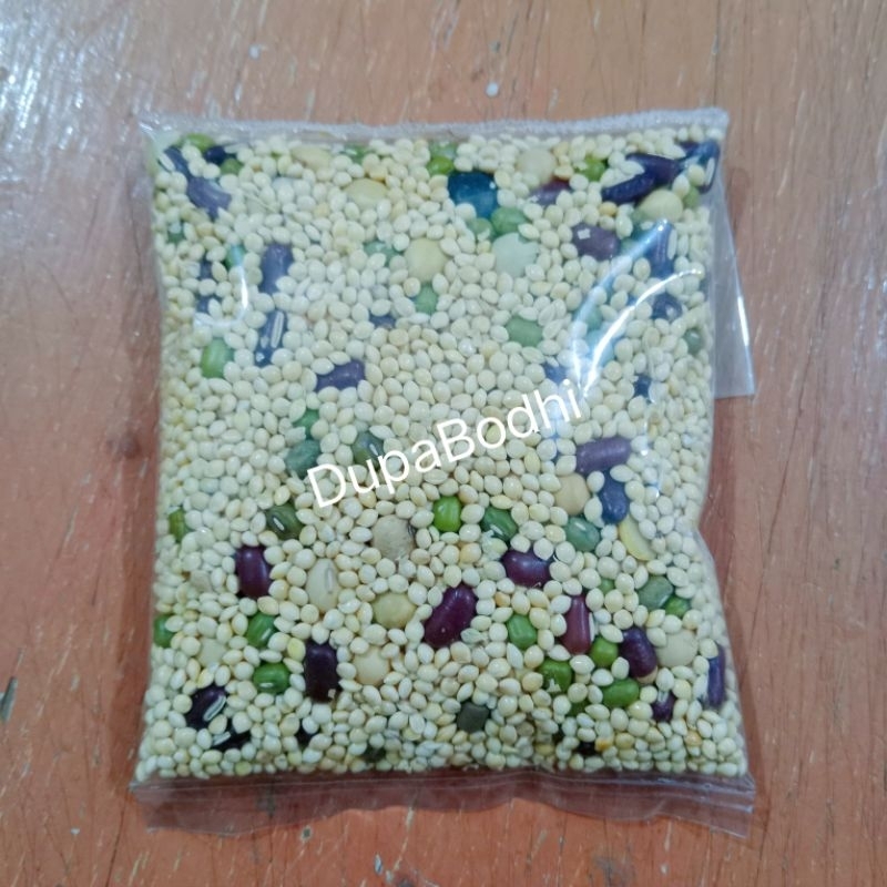 gokok / ngokok / lima macam biji-bijian sembahyang / go kok / ngo kok