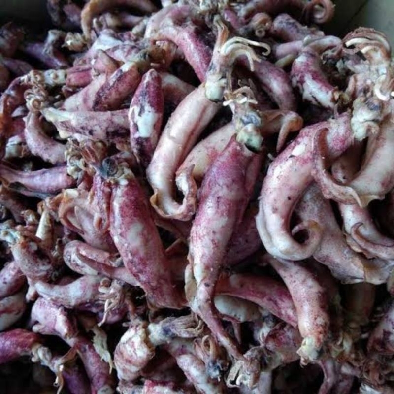 

Ikan Asin Cumi Sedang 75 gram