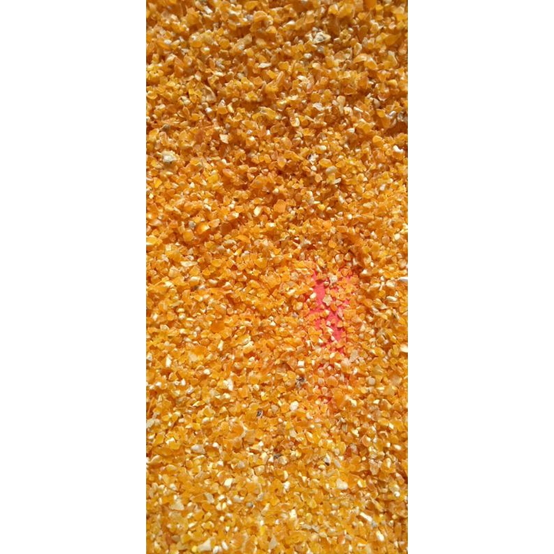 

beras jagung alami mdr
