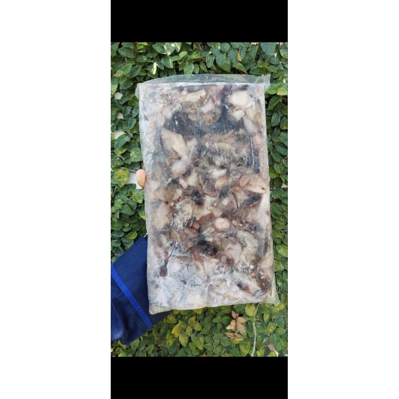 

Gurita Natural/ Gurita Takoyaki/ Gurita 1 kg