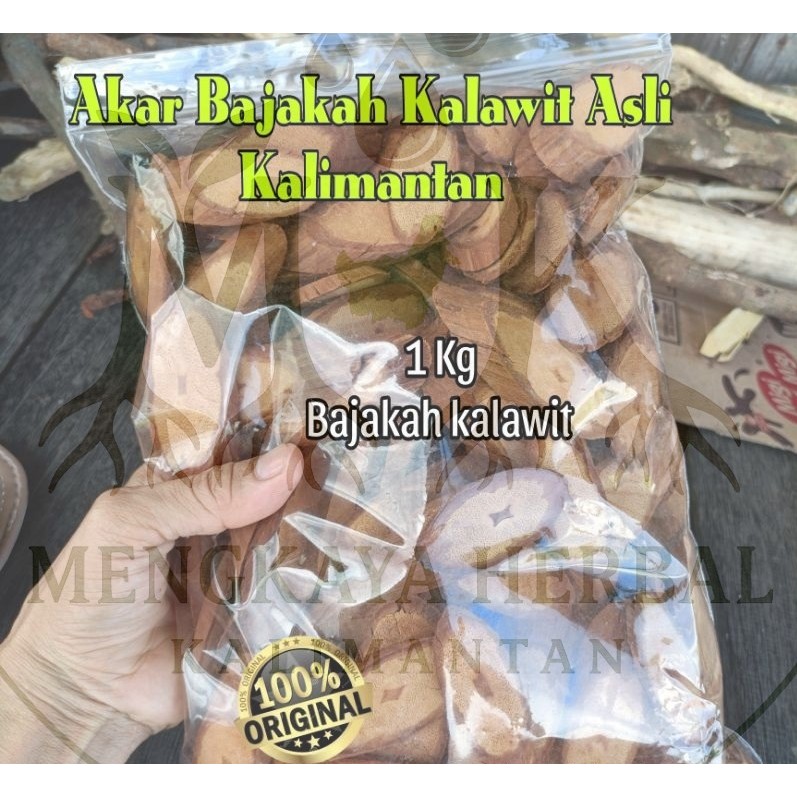 

Akar Bajakah Kalawit Asli Kalimantan - Obat Herbal Kanker Tumor Asli 100%