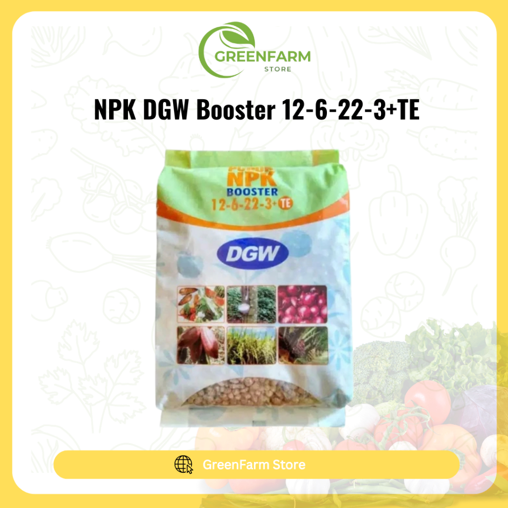NPK DGW Booster 12-6-22-3+TE