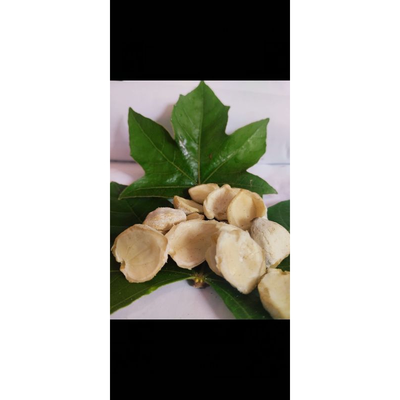 

Kemiri belah 500 Gram