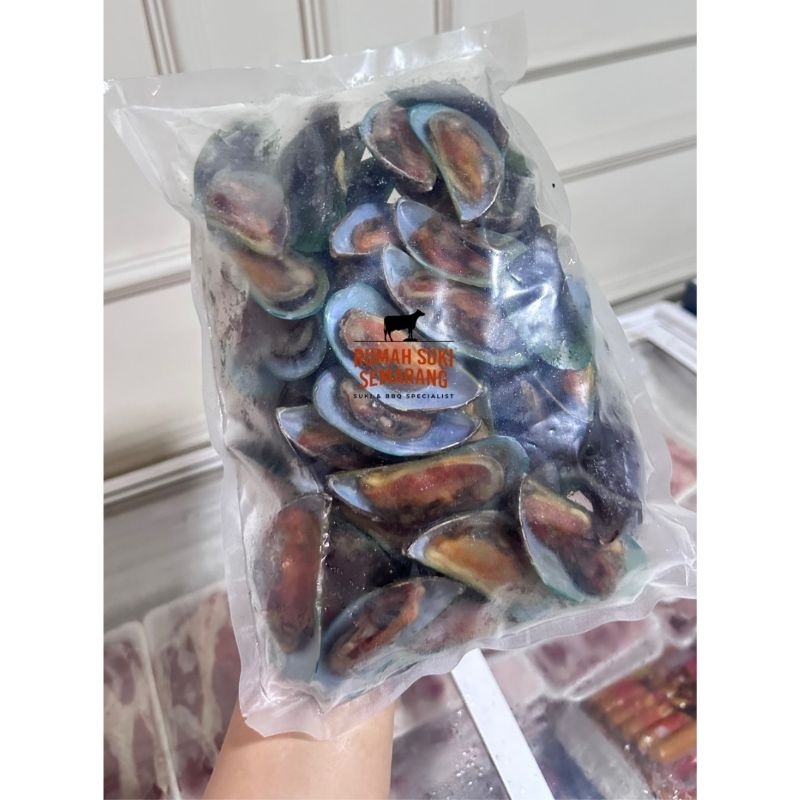 

Kerang Hijau Half Shell 1kg Frozen Bersih