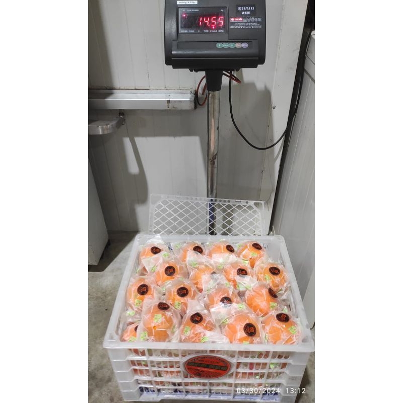 Jeruk Sunkist Navel China (KG)